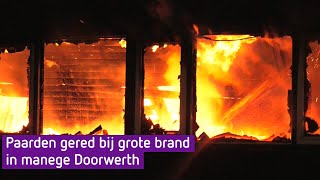 Grote brand verwoest manege in Doorwerth alle paarden gered [upl. by Ahsemik580]