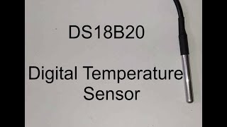 Interfacing DS18B20 Temperature Sensor with Raspberry PI [upl. by Kathleen]