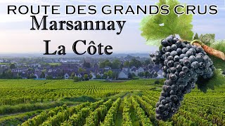 Route des Grands Crus  MARSANNAYLACOTE [upl. by Eednyl]