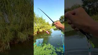 Carp fishing tools item amp idea Part2 shorts fishing [upl. by Chrissy]