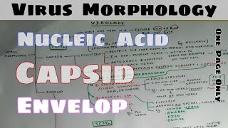 Virus Morphology  1 Only One Chart Microbiology  TCML [upl. by Aernda]