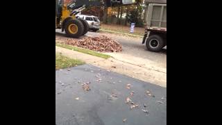 Leafbrush pick up Hamilton NJ claw truck [upl. by Atoked]