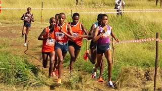 Junior Womens 6Km Cross Country Clash  National Championship 2024 [upl. by Healy]