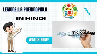 Legionella pneumophilaMicrobiologyMBBSHindi [upl. by Lancey]