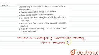 The efficiency of an enzyme to catalyse a reacrtion is due to its capacity to  12  BIOMOLECU [upl. by Eelaras24]