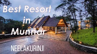 Best Resort In Munnar amp Neelakurinji [upl. by Ettenay]