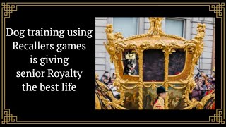 Dog Training Using Recallers Games Is Giving Senior Royalty the Best Life [upl. by Ennovaj]