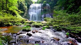 Waterfall flowing over rocks in forest 4k Relaxing flowing water White Noise for Sleep Meditation [upl. by Joscelin875]