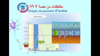 SVT BAC Extrait dune séance directe  Origine ionique de potentiel de potentiel daction [upl. by Merete16]