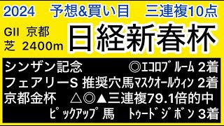 【日経新春杯2024 予想amp買い目】日経新春杯の予想amp買い目、穴馬を発表！ [upl. by Anera]