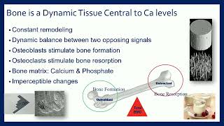 Understanding Physical Activity and Bone Mineral Density [upl. by Behm723]