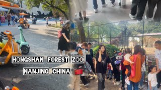 Most crowded forest zoo in china  HONGSHAN FOREST ZOO  NANJING CHINA 🇨🇳 [upl. by Nitsu]