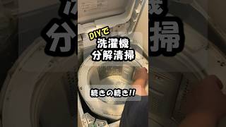 洗濯槽クリーナーだけでは限界なのか！？DIYで洗濯機を分解洗浄したら半端じゃなかった！！！③【日立ビートウォッシュBWV80A】diy＃掃除＃洗濯機＃洗濯機洗净hitachi [upl. by Yrakaz]