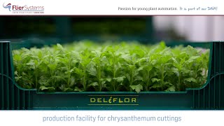 Customer case  Deliflor Hoogveld [upl. by Ymeon886]