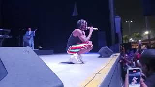 Fireboy DML live in concert afro caribfest Miami 2024 [upl. by Porte876]