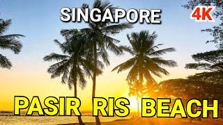 Pasir Ris Park  Singapore Park  Pasir Ris Beach [upl. by Alih]