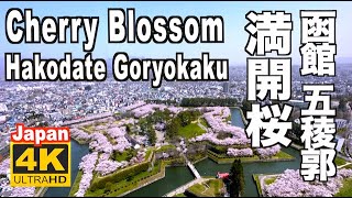 🇯🇵4K 函館 五稜郭の桜 2023 Hakodate Goryokaku Cherry Blossom Hokkaido 函館観光 桜の名所 花見 満開 旅行 北海道 sakura Japan [upl. by Glynn98]