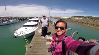 Crayfishing in Bluff NZ [upl. by Aninahs]