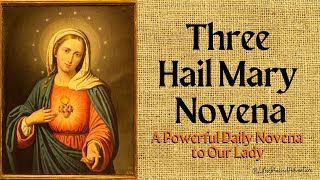 THREE HAIL MARYS NOVENA DEVOTION TO OUR LADY prayers novenas LifesBlessedAdventure canva rev [upl. by Ainirtak902]