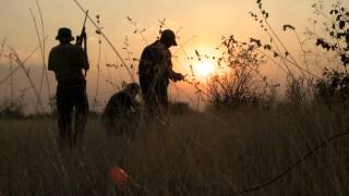 Etosha View Hunting Lodgemov [upl. by Selestina587]