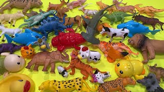 Satisfying Play With Wild Animal amp Zoo Animal Show  Crocodile Blue Shark Tiger Panda Duck [upl. by Coulson95]