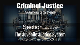 Section 229 Evolution of the Juvenile Justice System [upl. by Acirehs]