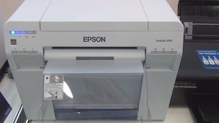 Epson SureLab D700 Commercial Photo Production printer review in 3D [upl. by Maurreen]