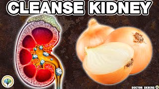 Top 10 SUPER FOODS That Can Heal Your KIDNEYS [upl. by Ahsinek241]