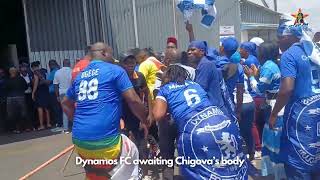 Haa ma Dembare ane rudo  Song and Dance Moment in celebration of Chigovas life [upl. by Alford]