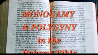 Monogamy amp Polygyny in the Hebrew Bible Part 1 [upl. by Deaner]