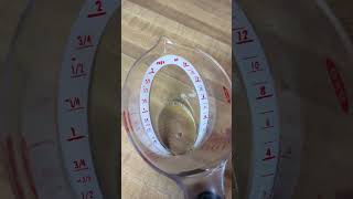 OXO Good Grips Angled Measuring Cup [upl. by Bethel]