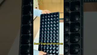 Cheap 72 Cell Seed Trays for Tomatoes seedlingtrays seedstarting [upl. by Leighton]