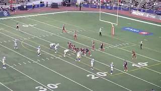 Montreal Alouettes WR Jake Wieneke makes a great catch of a deflected pass vs Winnipeg 92119 [upl. by Fagaly496]