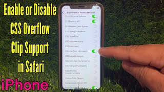 How to Enable or Disable CSS Overflow Clip Support in Safari on iPhone X [upl. by Stiruc232]