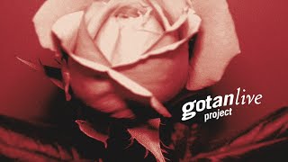 Gotan Project Live Full Album [upl. by Solokin]