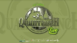 12º Leilão Quality Ranch Live  03112024 [upl. by Nyret794]