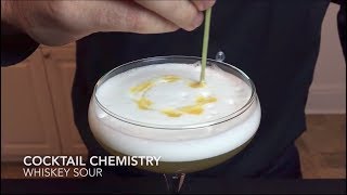 Basic Cocktails  How To Make The Whiskey Sour Reverse Dry Shake [upl. by Tolmann]