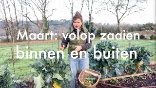 Inis Moestuin 89  Maart volop zaaien binnen en buiten amp compostwormen bijvoeren met droog voer [upl. by Jehiel854]