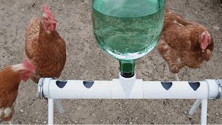 Bebedero para gallinas ponedoras PVC [upl. by Ardnnek636]