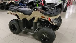 2022 Arctic Cat Alterra 300 Walk Around [upl. by Walrath]