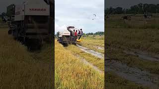 Amazing Harvester Machine 072 farming agriculture [upl. by Willey]