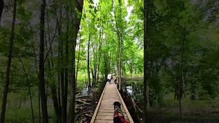 Sifton Bog Hike  GO 3 [upl. by Rosalia]