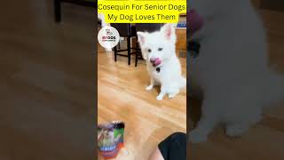 Cosequin For Senior Dogs Dog Supplement for Mobility  My Dog Loves Them  My Dog Supplement [upl. by Akiemaj]