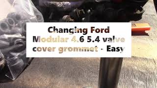 Changing Ford Valve Cover Bolt Grommets [upl. by Hakaber400]