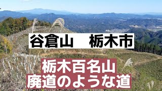 谷倉山 栃木市 栃木百名山 廃道のような道 2023年11月18日 [upl. by Arikihs]