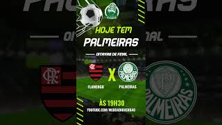 🔴 AO VIVO FLAMENGO X PALMEIRAS  OITAVAS DE FINAL DA COPA DO BRASIL 2024  WEB RÁDIO VERDÃO [upl. by Kreiner198]