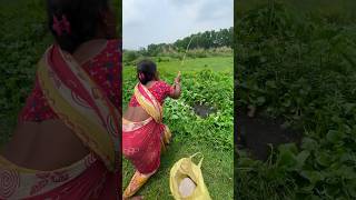 Unique Hook Fishing Trap By Village Lady in Mud Water  Fishing Video indianfishing fishingmethods [upl. by Annyl]