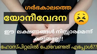 VAGINAL PAIN During Pregnancy in Malayalam  Vaginal pain during pregnancy Hellosupermom Gopika [upl. by Eitteb875]