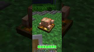 Chicken Love minecraft Nickology nicklepickle25 shorts shortsviral [upl. by Edge]