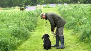 Shooting Times amp Skinners Gundog training part 2 [upl. by Jez566]